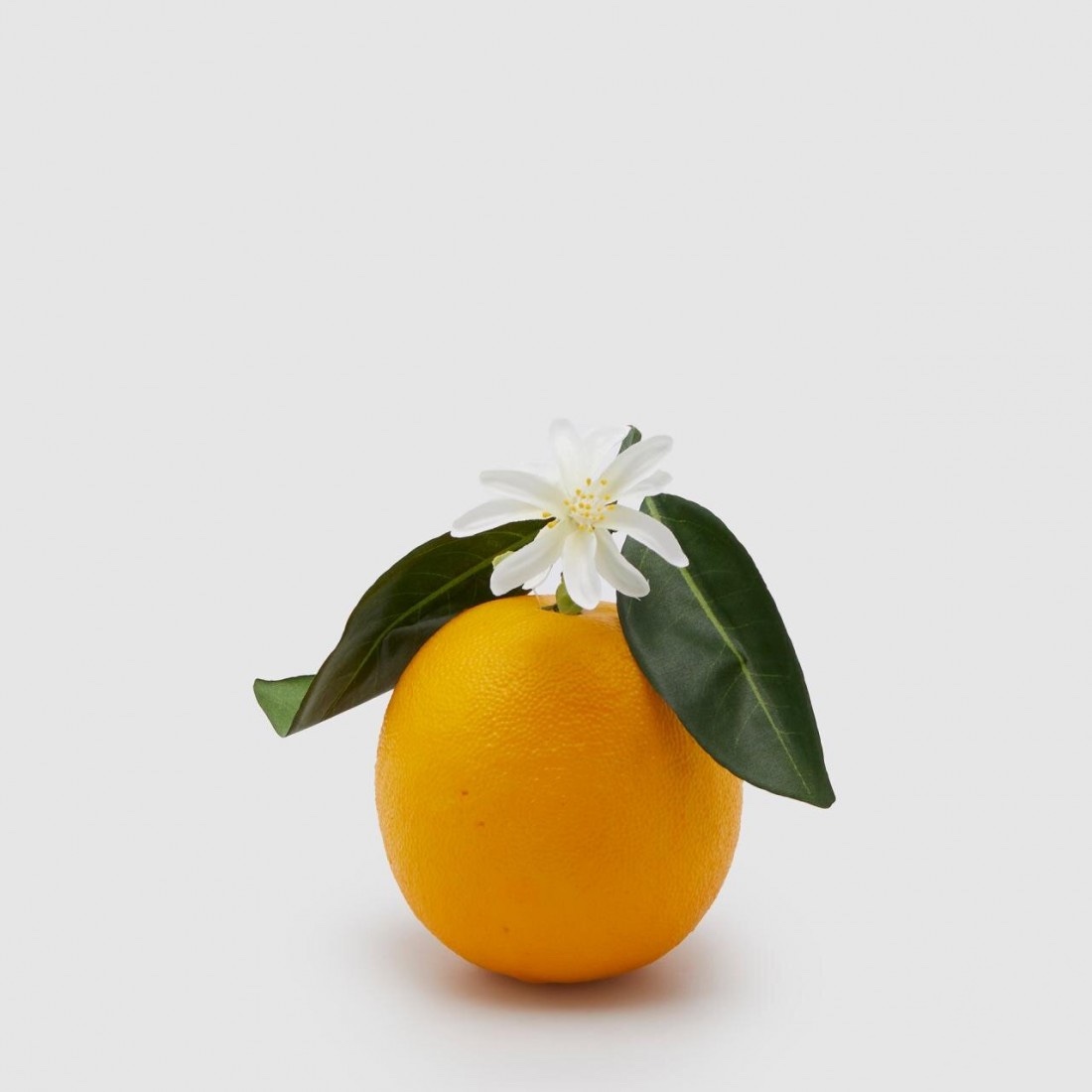 Deko Orange 6 Deko Orange – Bild 5