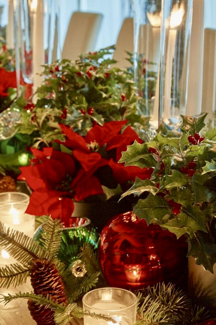 Weihnachtsstern Strauß 4 Weihnachtsstern Strauß – Bild 3