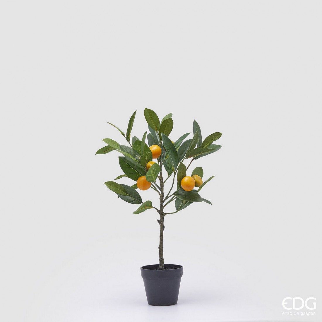 orangenbaum mit topf h48