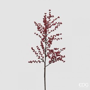Ilex