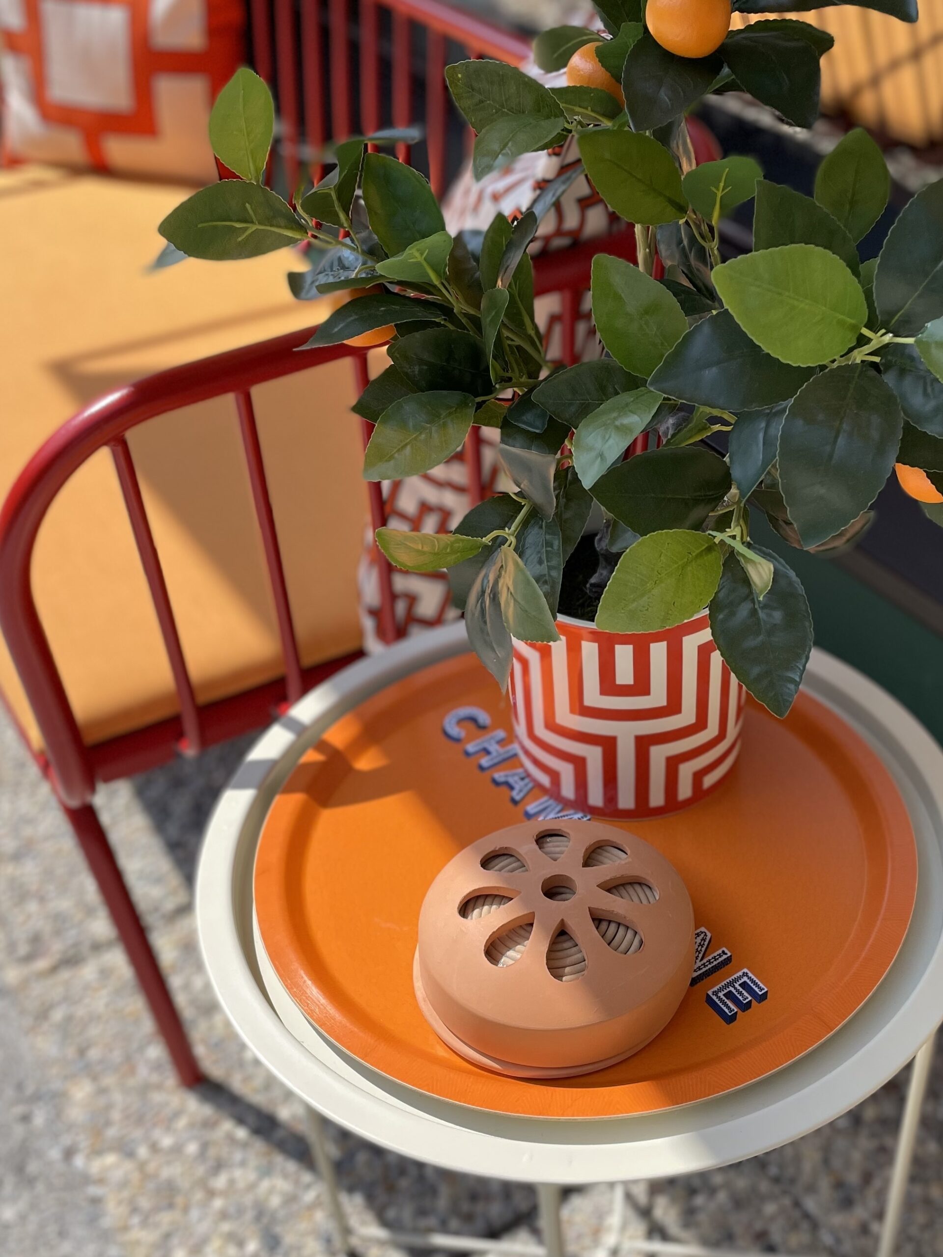 Citronella terracotta scaled