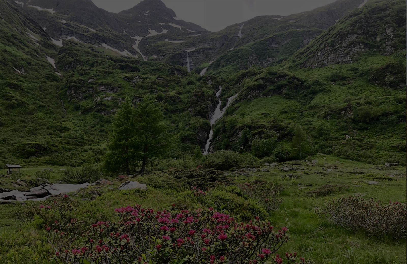 74628 Header Kontakt 02 web