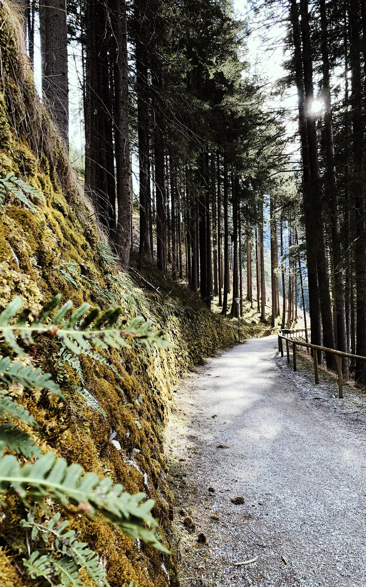 Die Kaiser-Wilhelm-Promenade in Bad Gastein